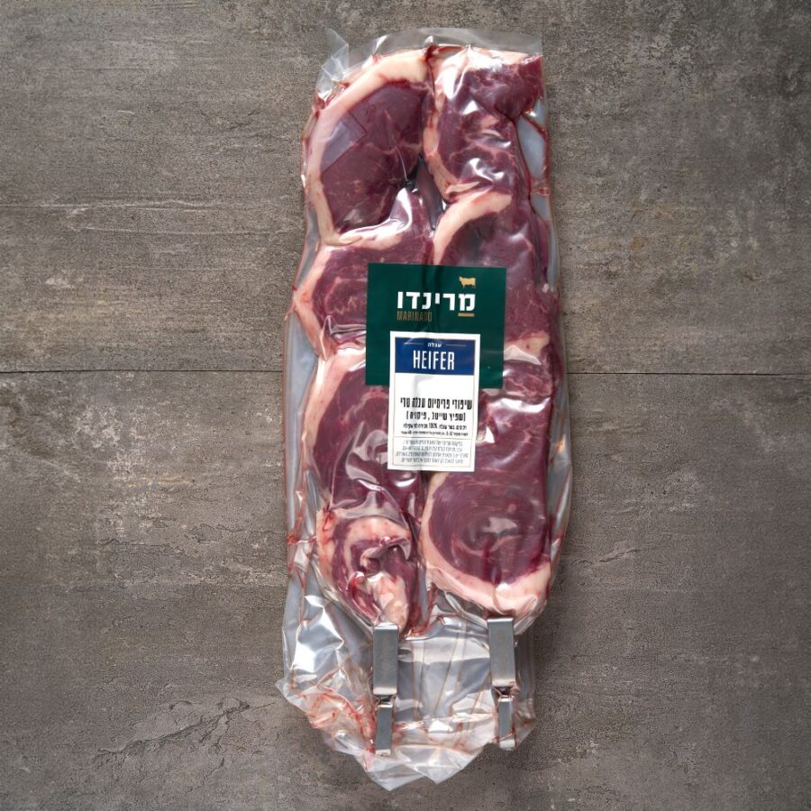 חדש שיפודי פרימיום עגלה